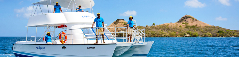 Calypso Cat Tour