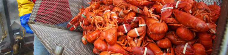 Anse-la-Raye Seafood