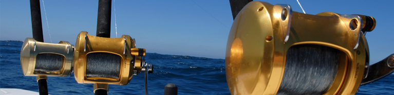 Deep Sea Fishing