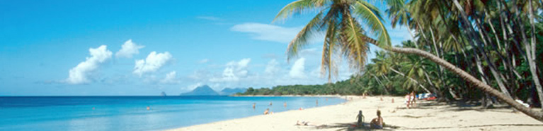 Martinique Splendor